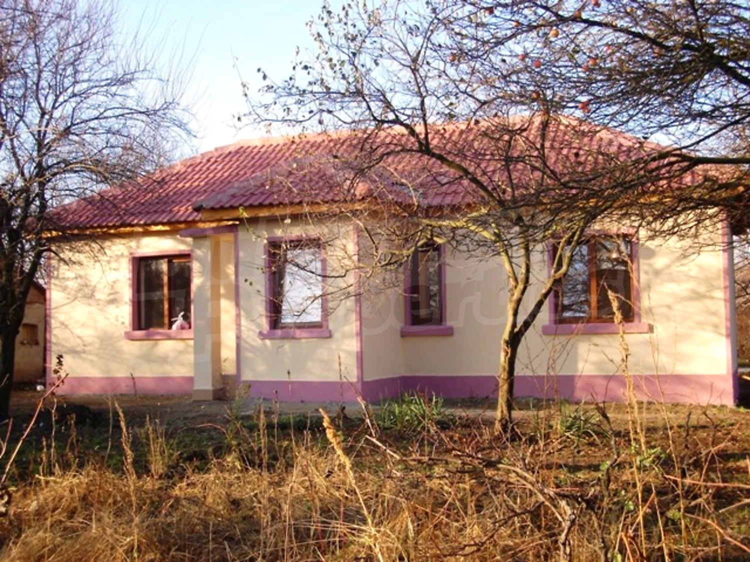 Gallery Picture 10
