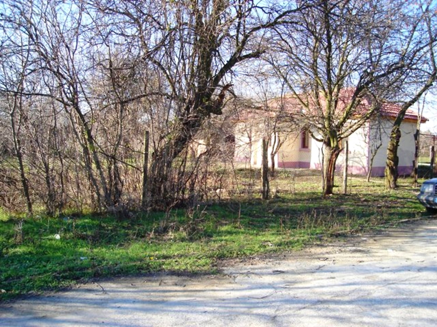 Gallery Picture 6