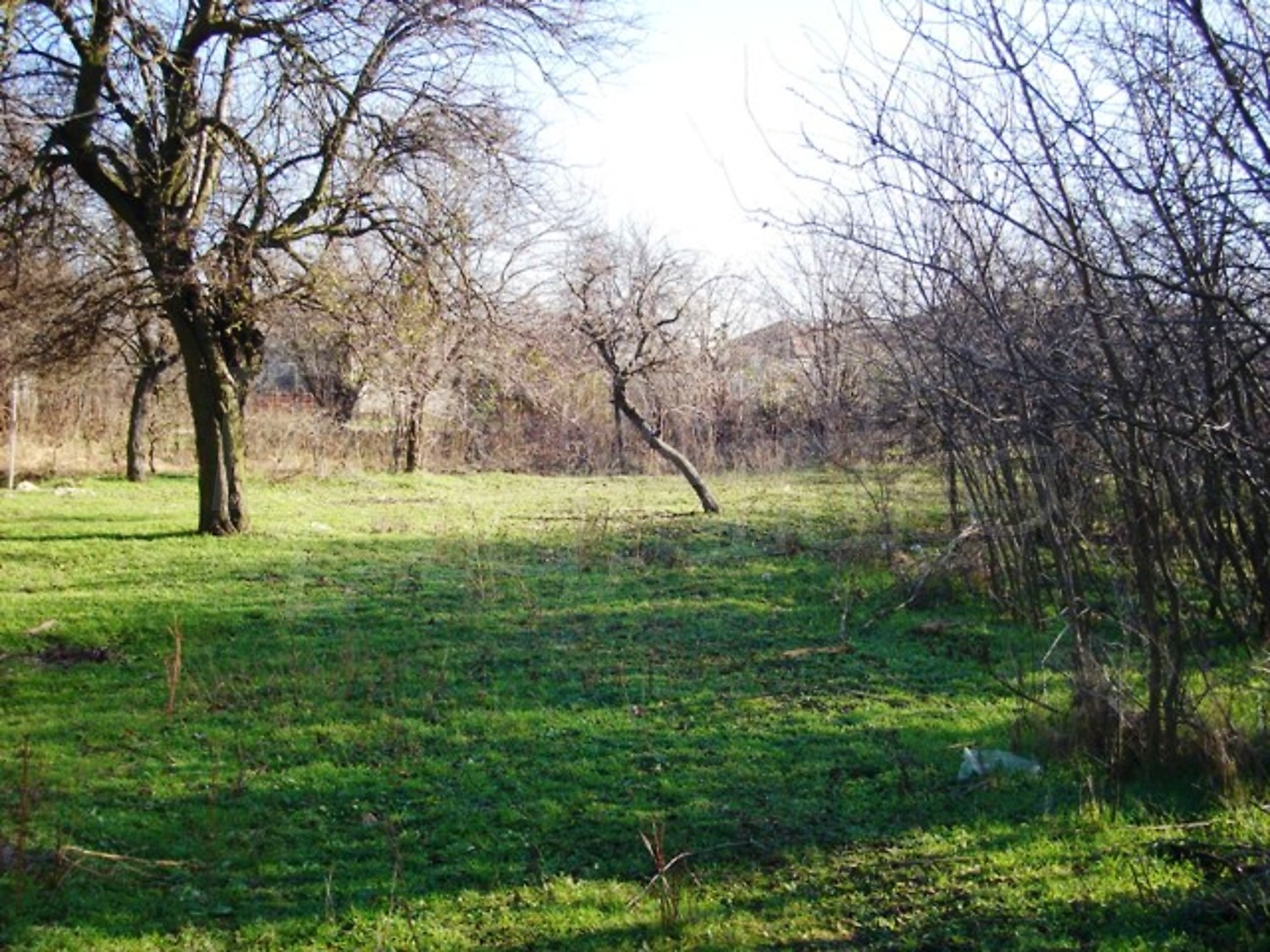 Gallery Picture 35