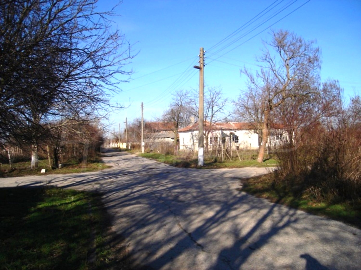 Gallery Picture 36