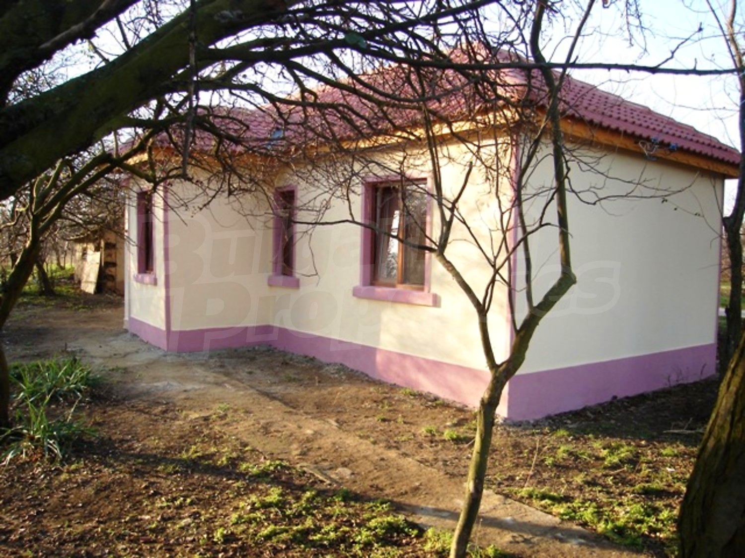 Gallery Picture 11