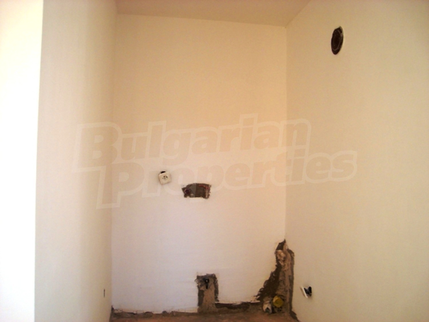 Gallery Picture 22