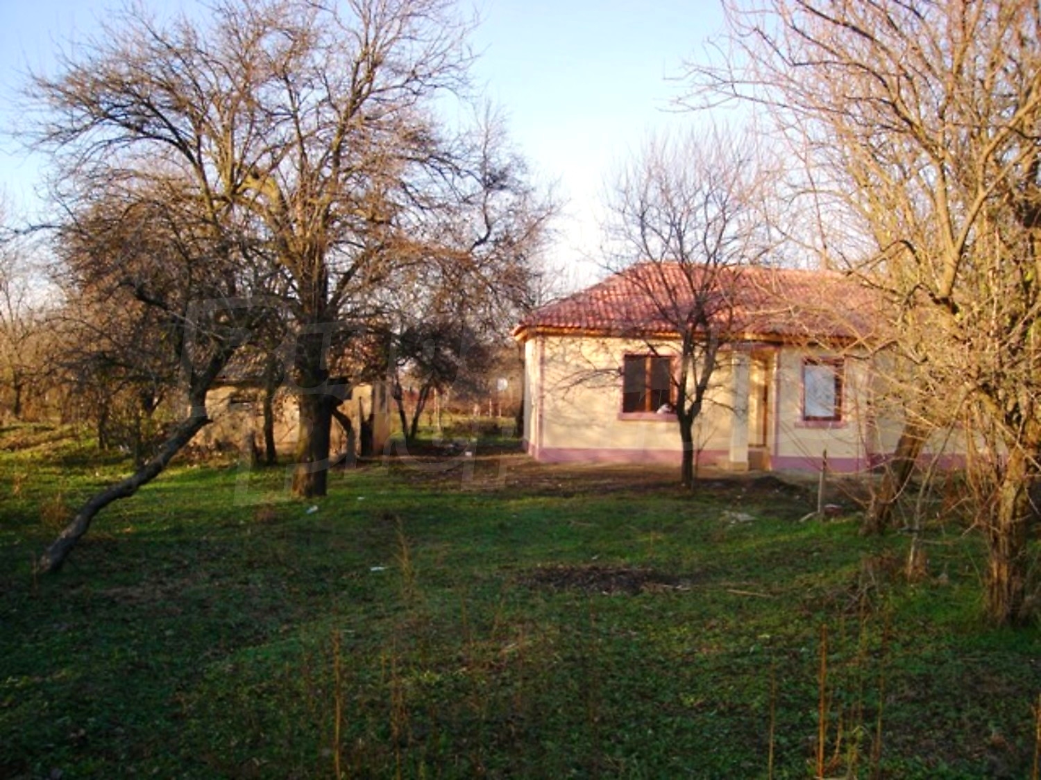 Gallery Picture 13