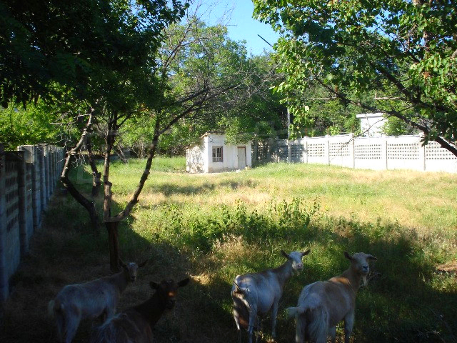 Gallery Picture 2