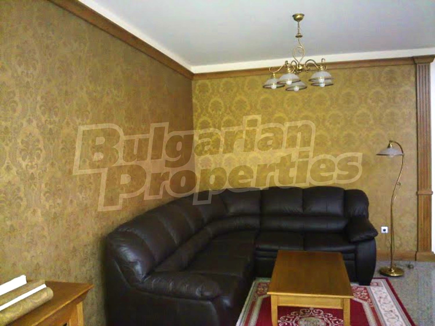 Gallery Picture 16