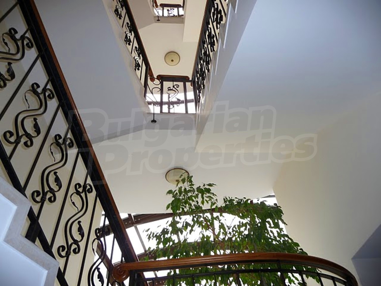 Gallery Picture 27