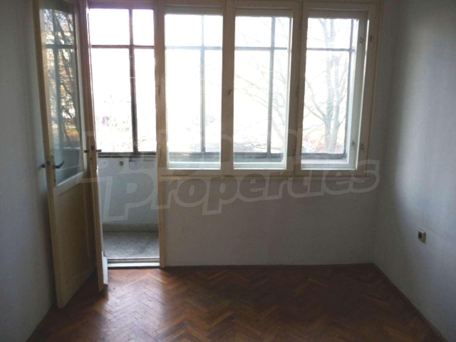 Gallery Picture 10