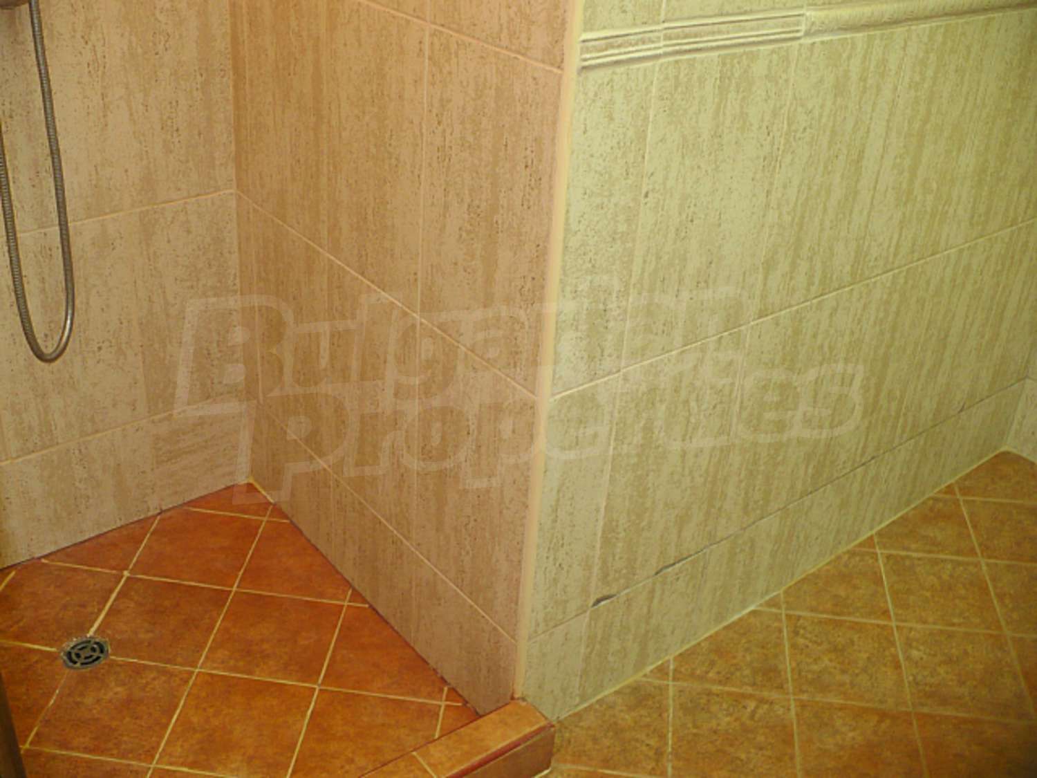 Gallery Picture 26