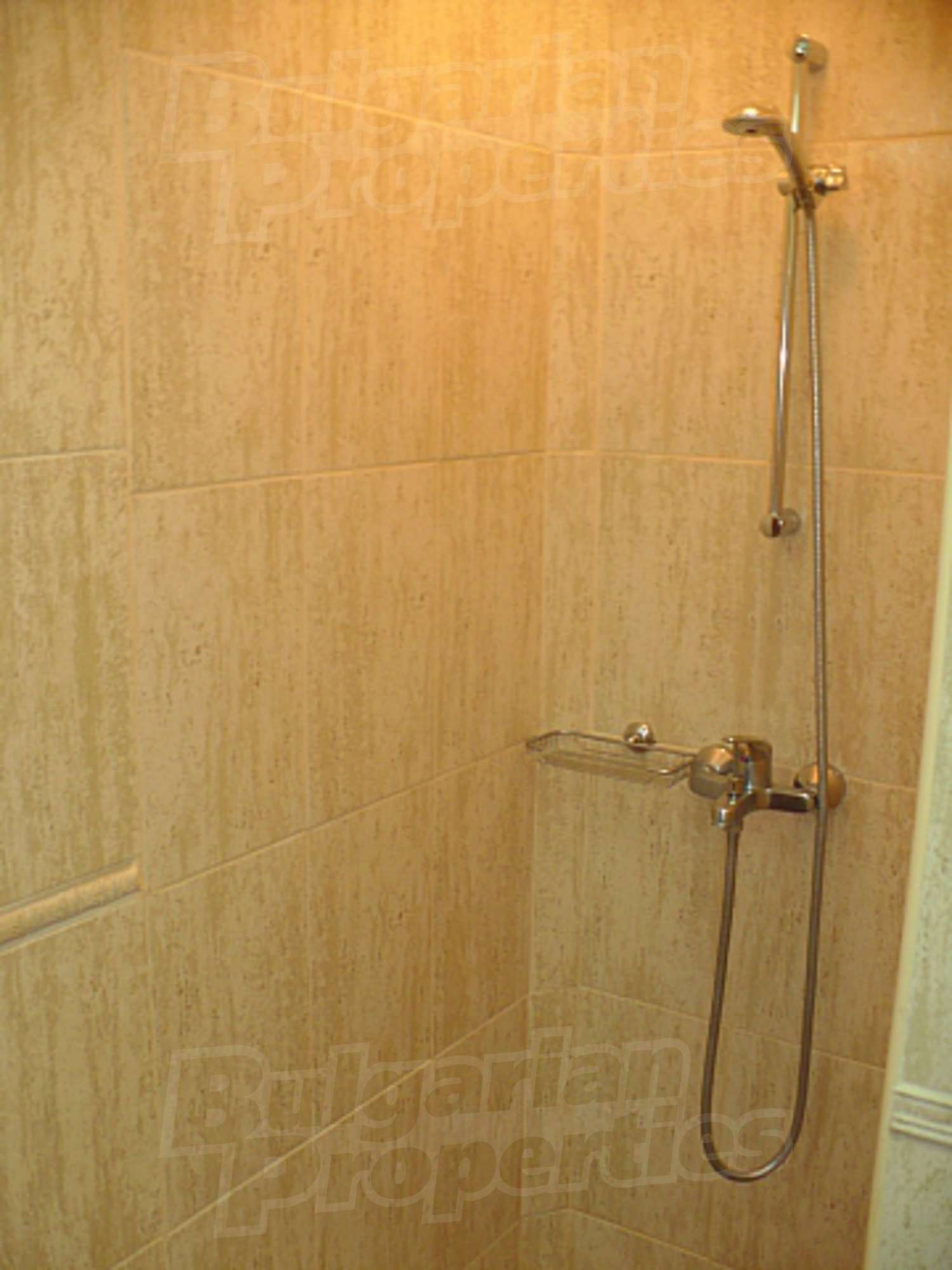 Gallery Picture 27