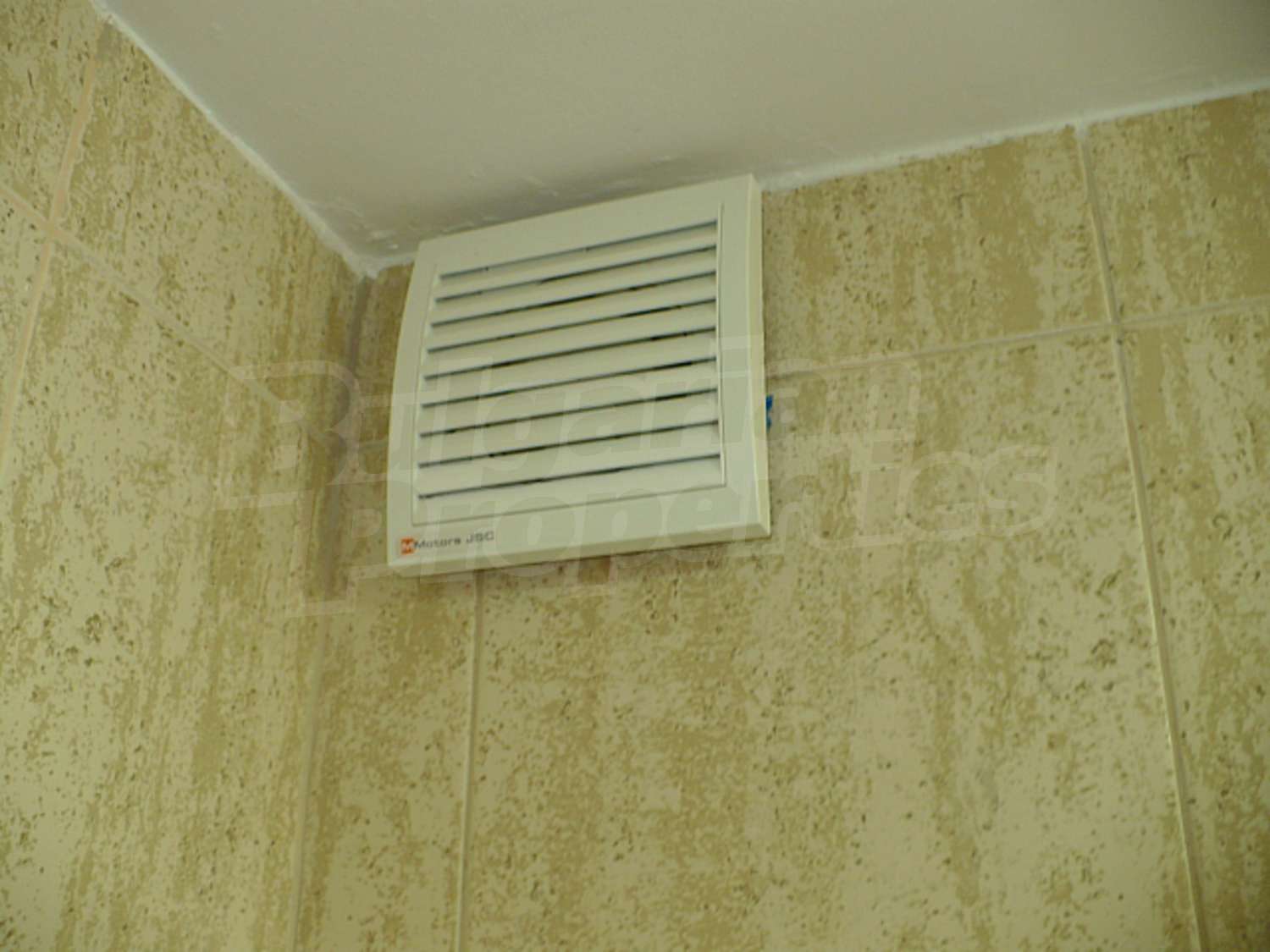 Gallery Picture 29