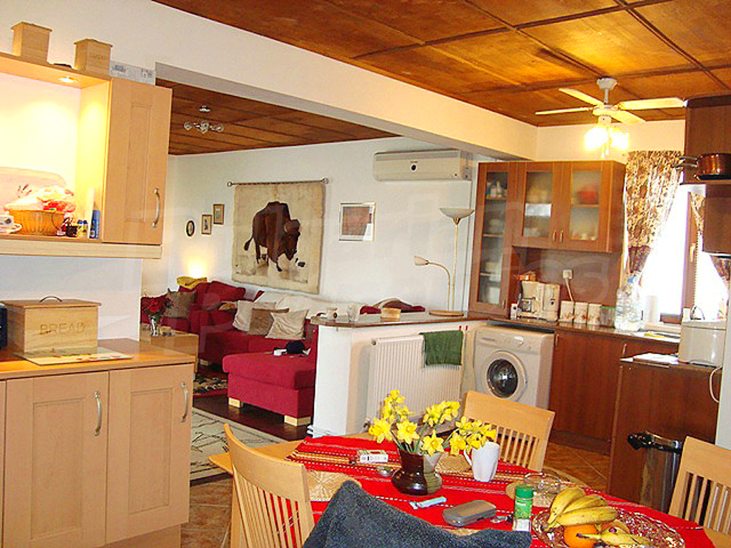 Gallery Picture 16