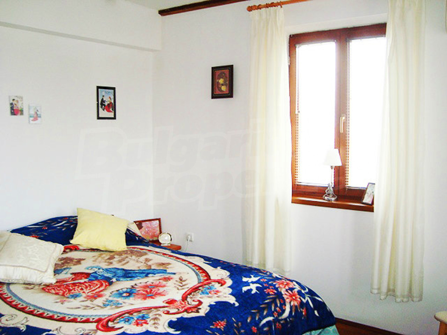 Gallery Picture 31