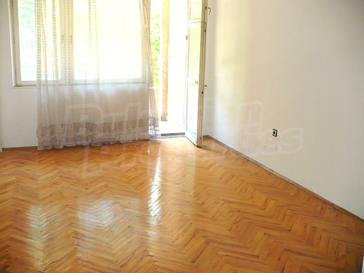 Gallery Picture 8