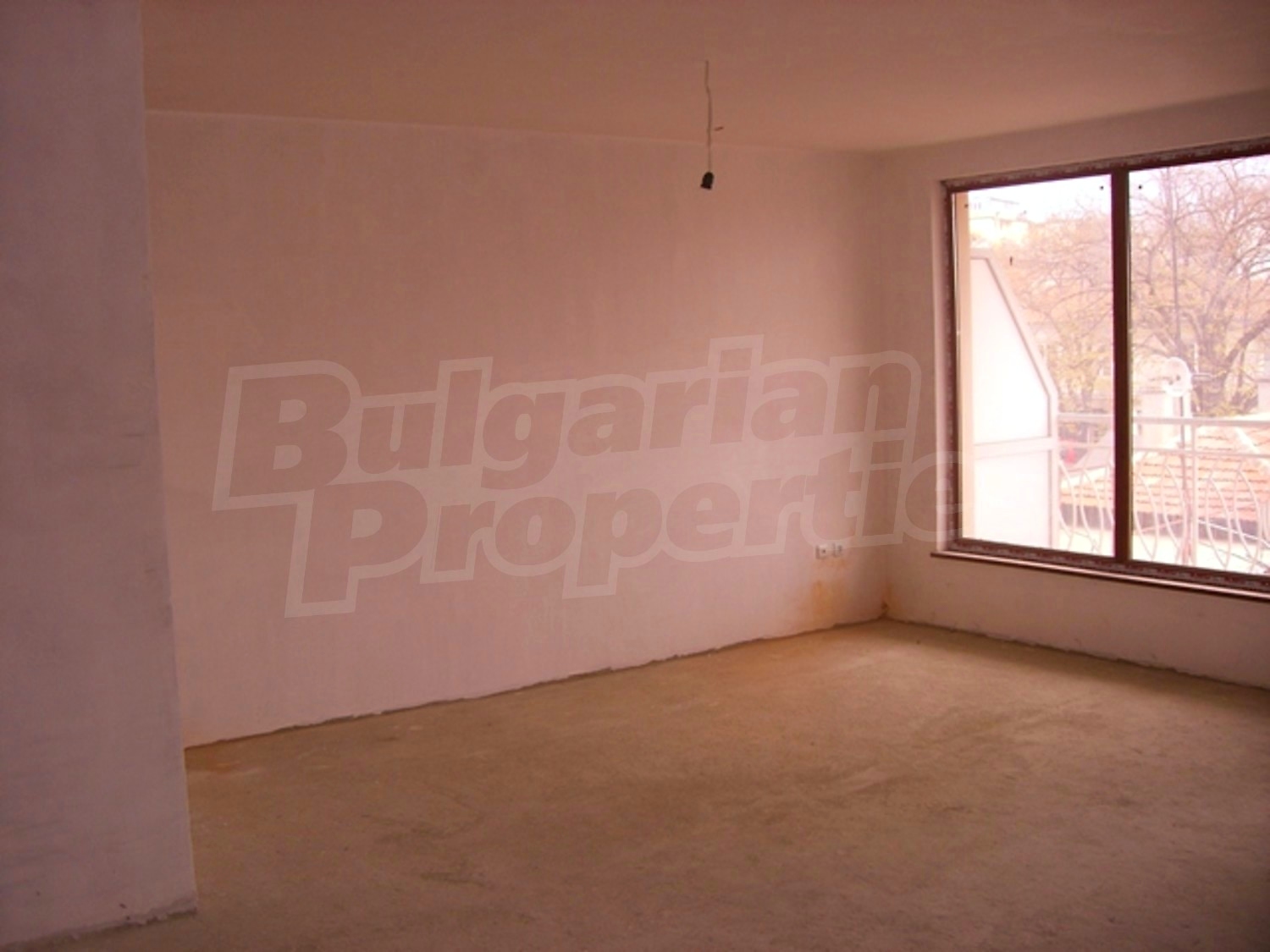 Gallery Picture 2