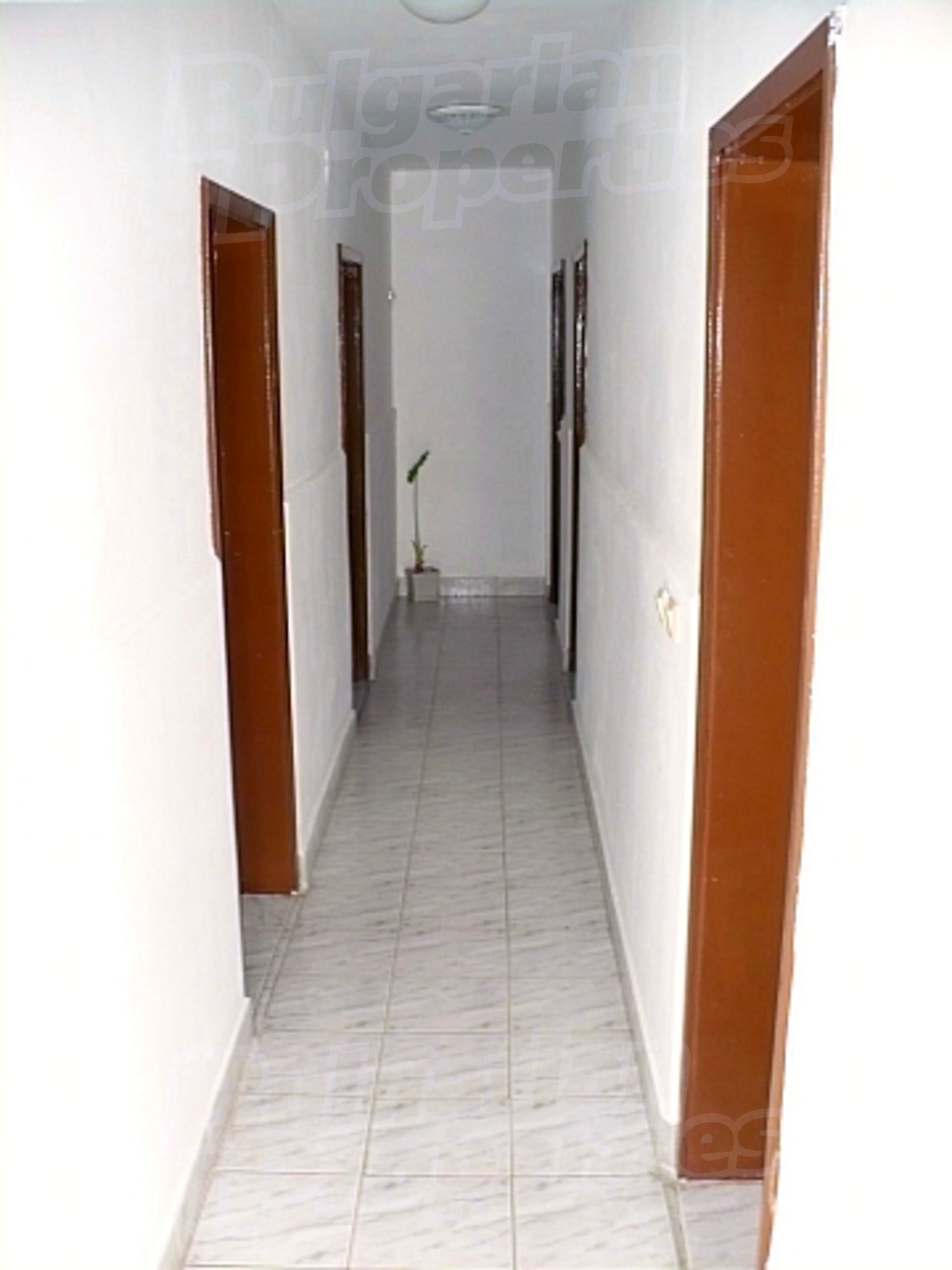 Gallery Picture 20