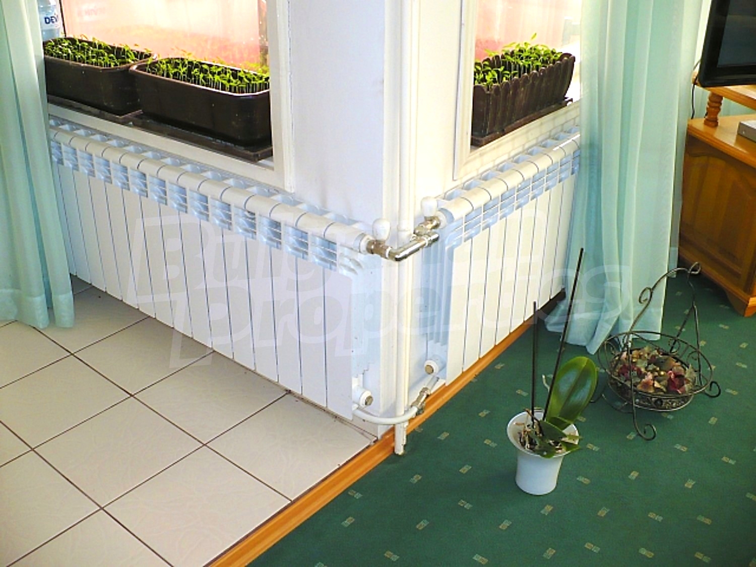 Gallery Picture 32