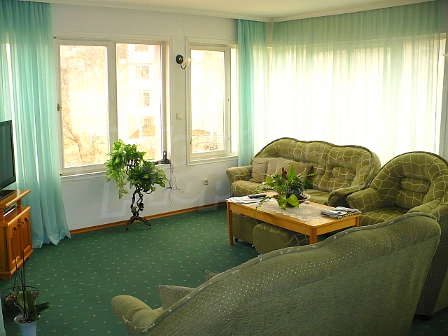 Gallery Picture 36