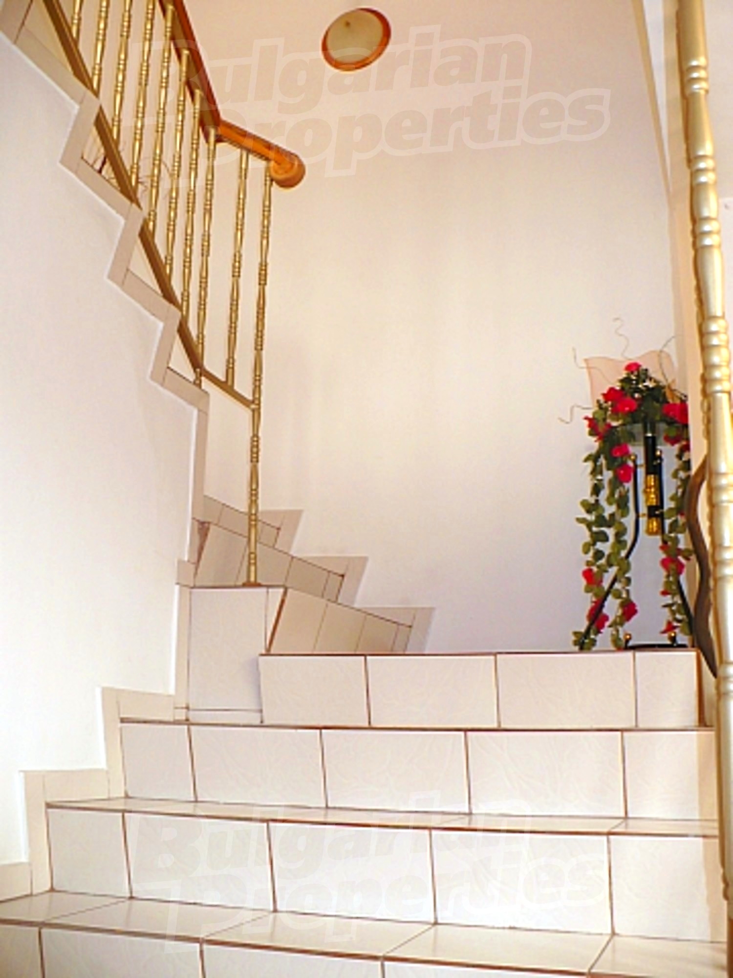 Gallery Picture 42