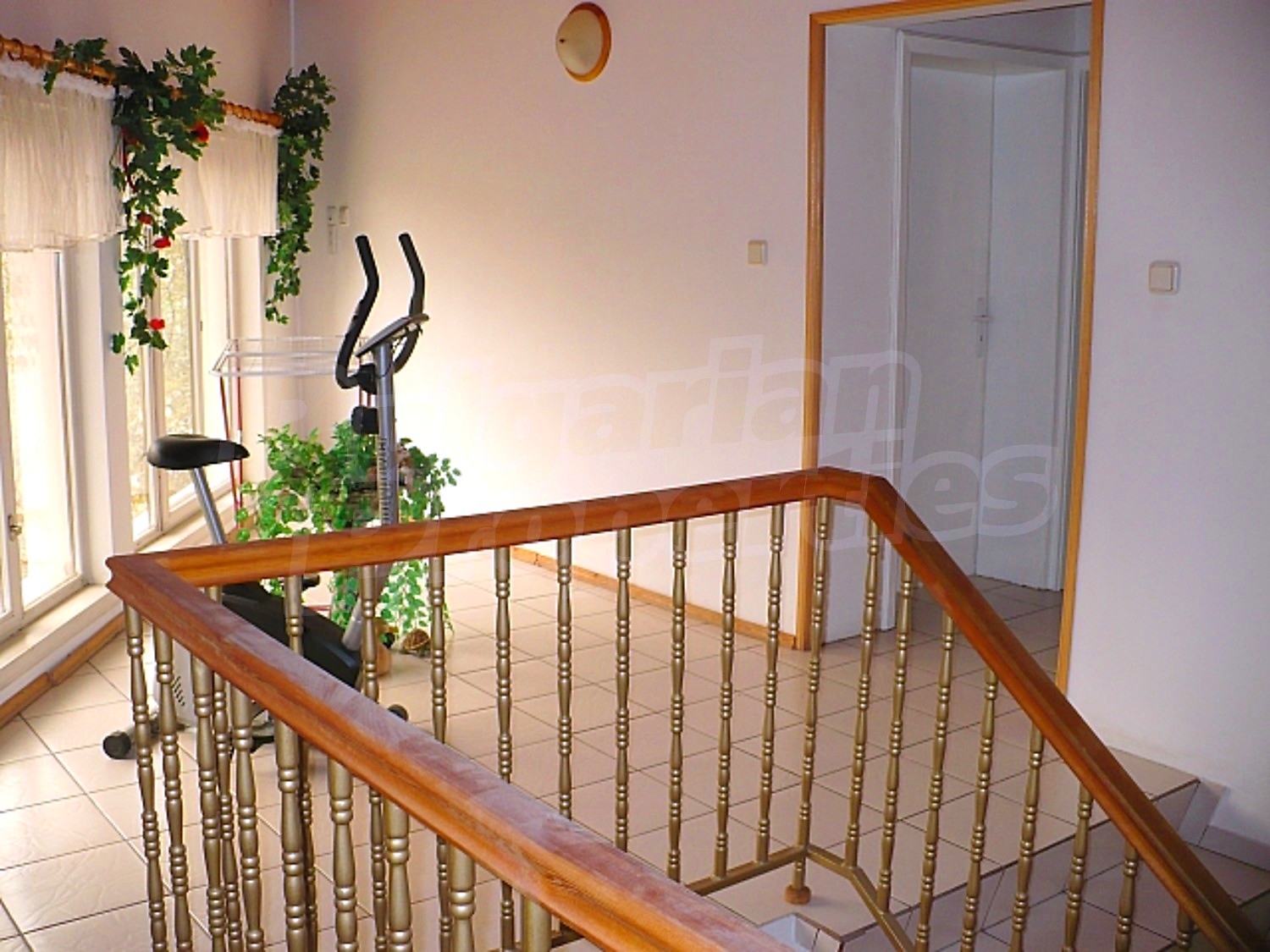 Gallery Picture 43