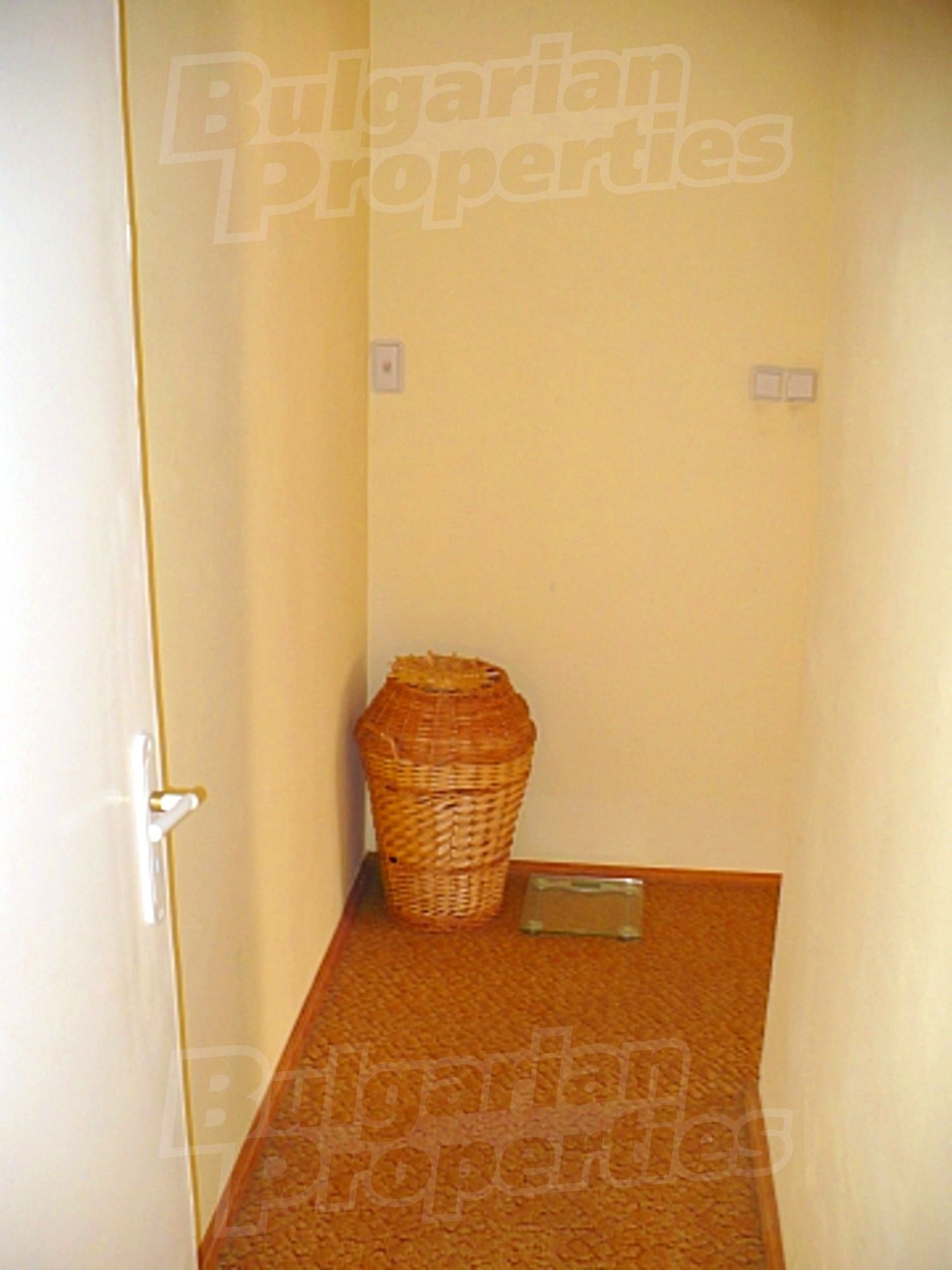 Gallery Picture 44