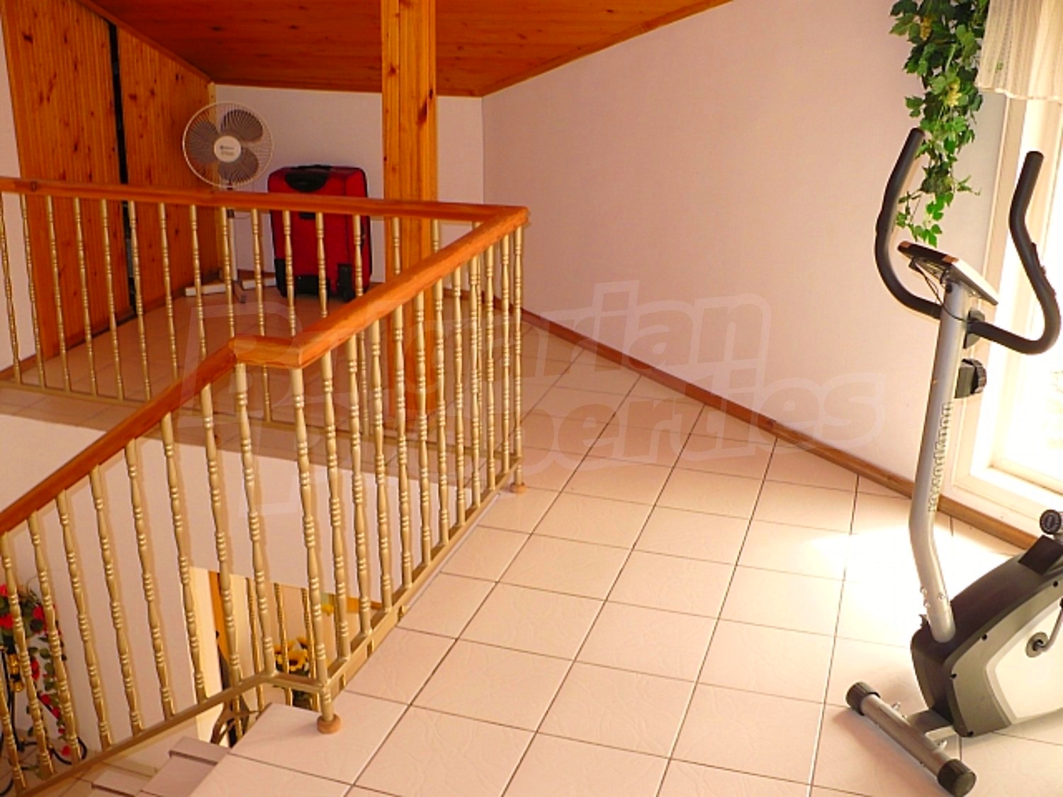 Gallery Picture 53