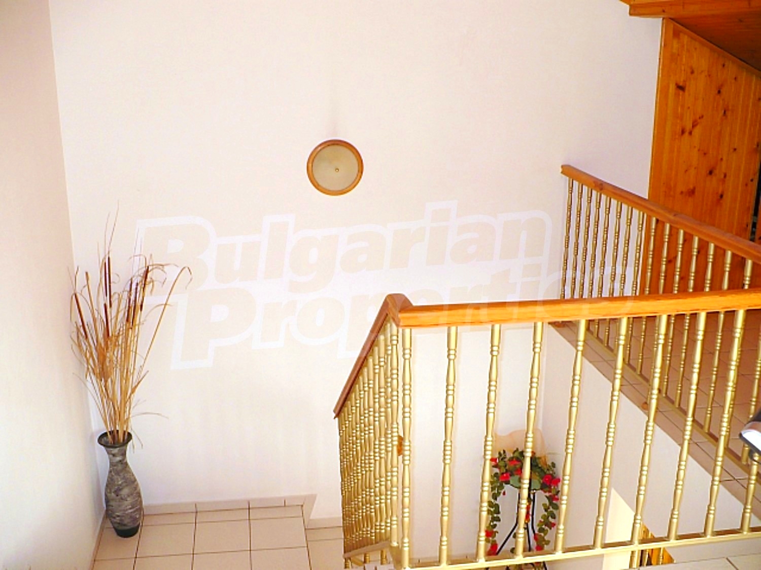 Gallery Picture 54