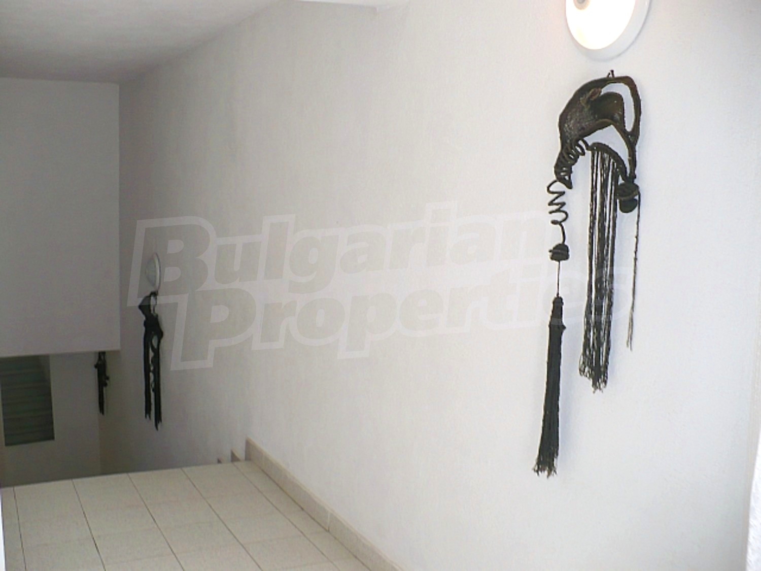 Gallery Picture 55