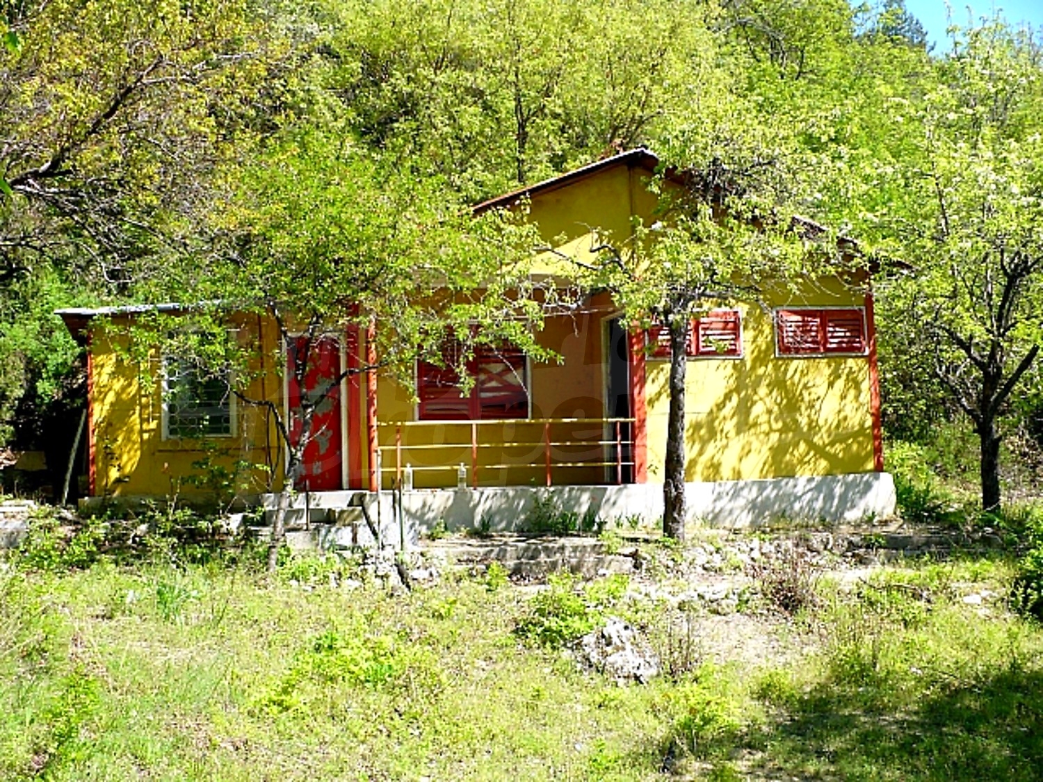 Gallery Picture 5