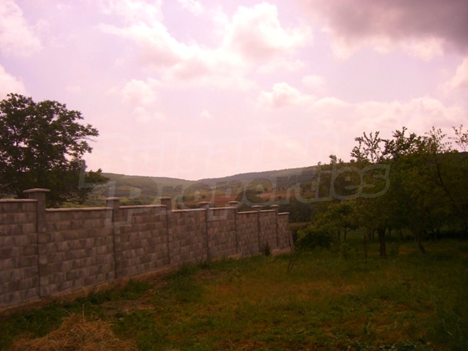 Gallery Picture 9