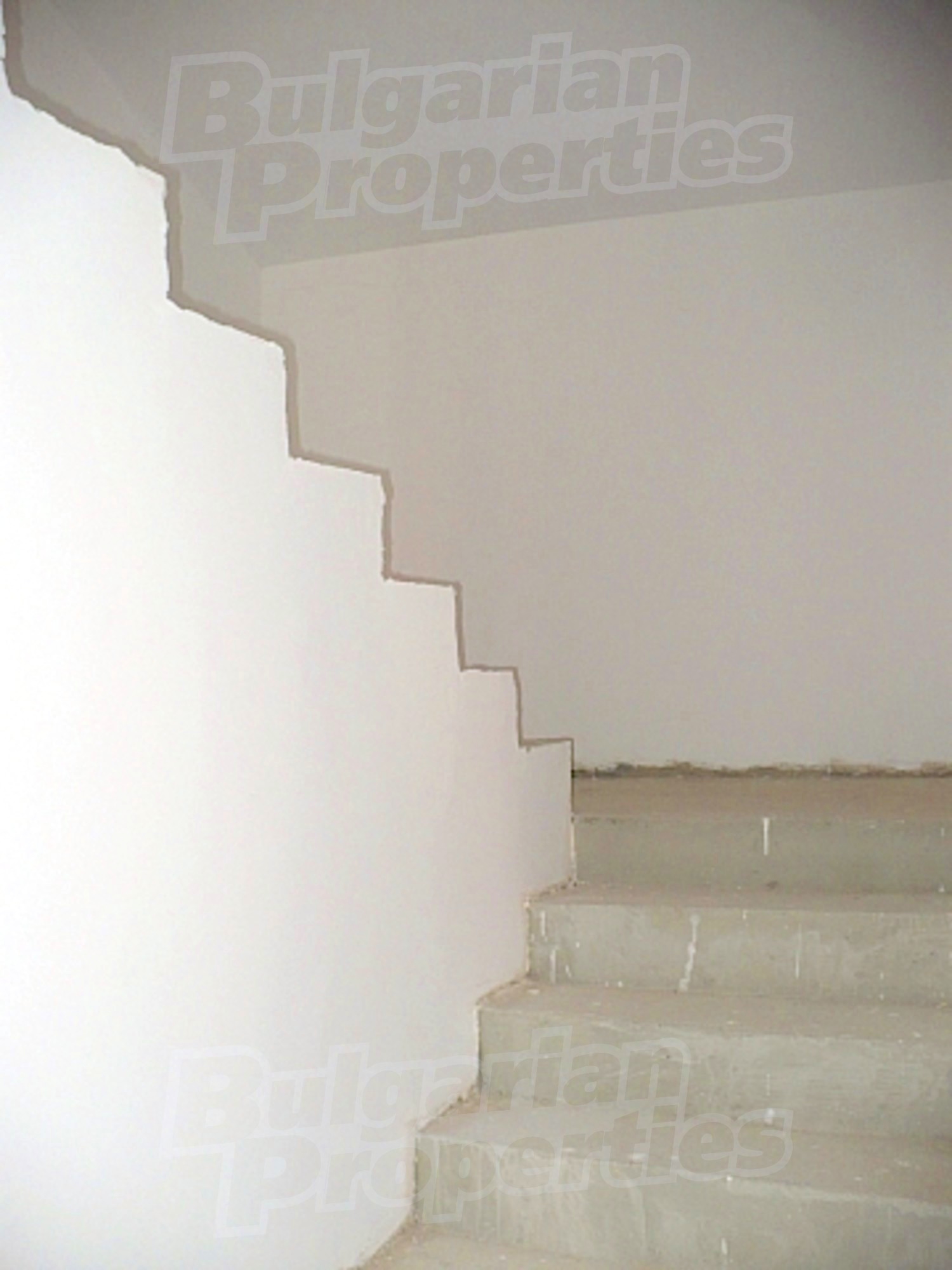 Gallery Picture 19