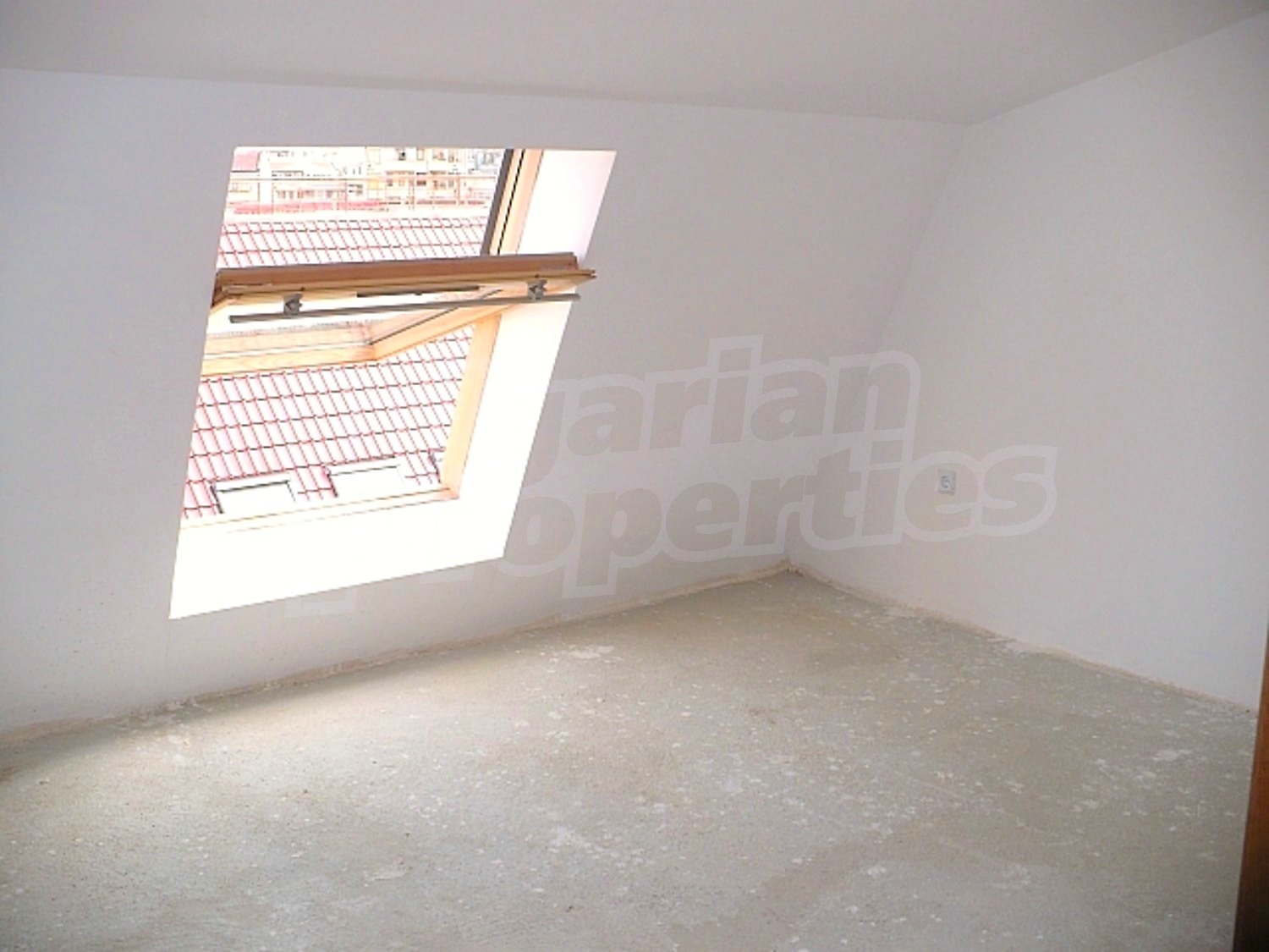 Gallery Picture 23