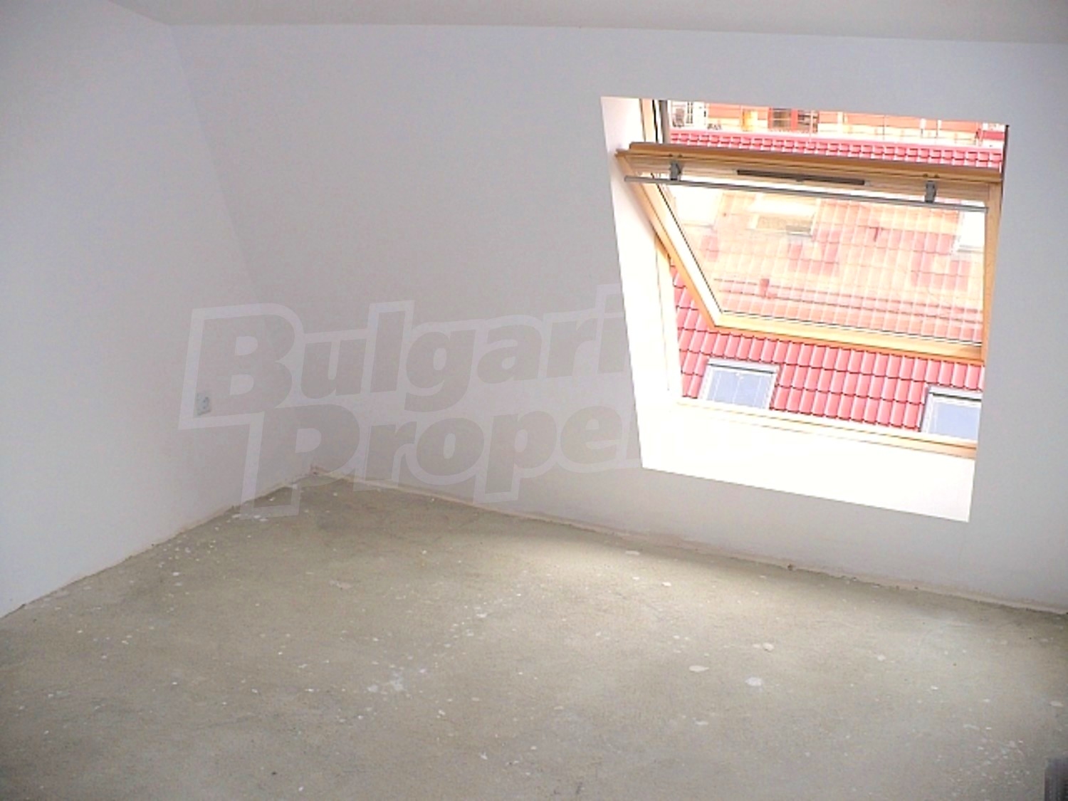 Gallery Picture 26