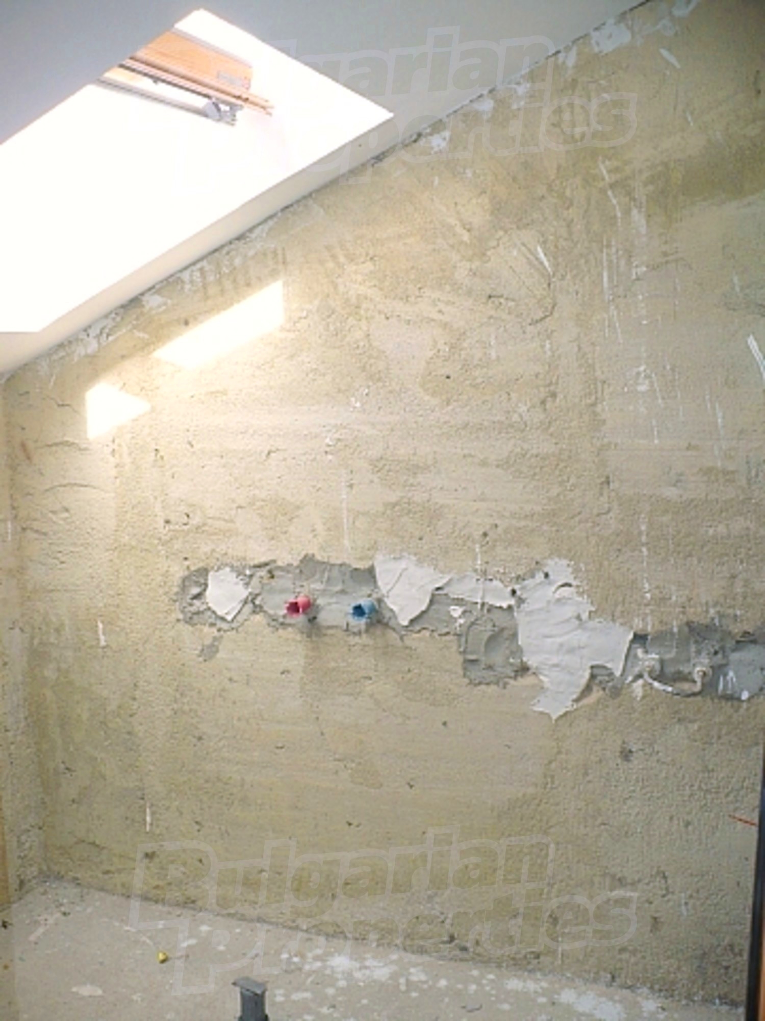 Gallery Picture 29