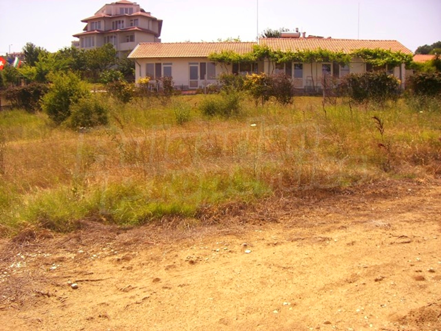 Gallery Picture 11