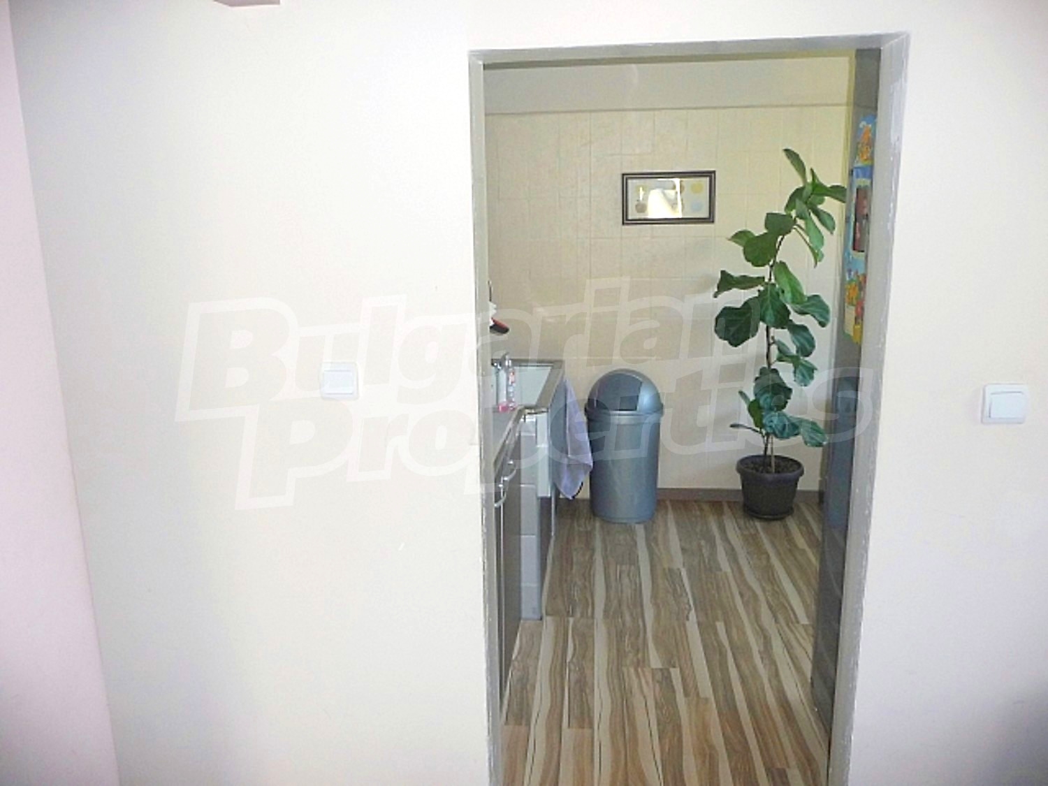 Gallery Picture 16