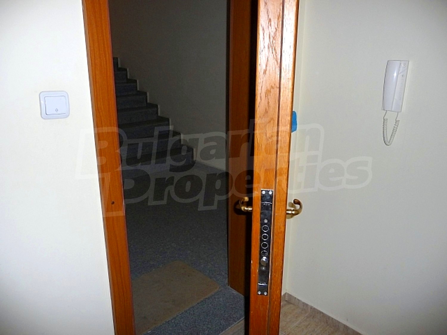 Gallery Picture 25
