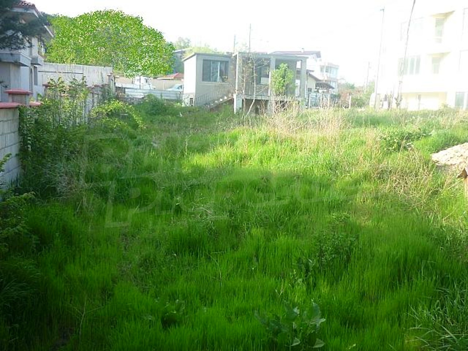 Gallery Picture 8