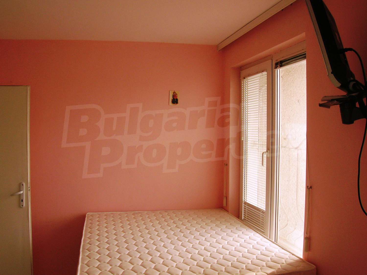 Gallery Picture 7