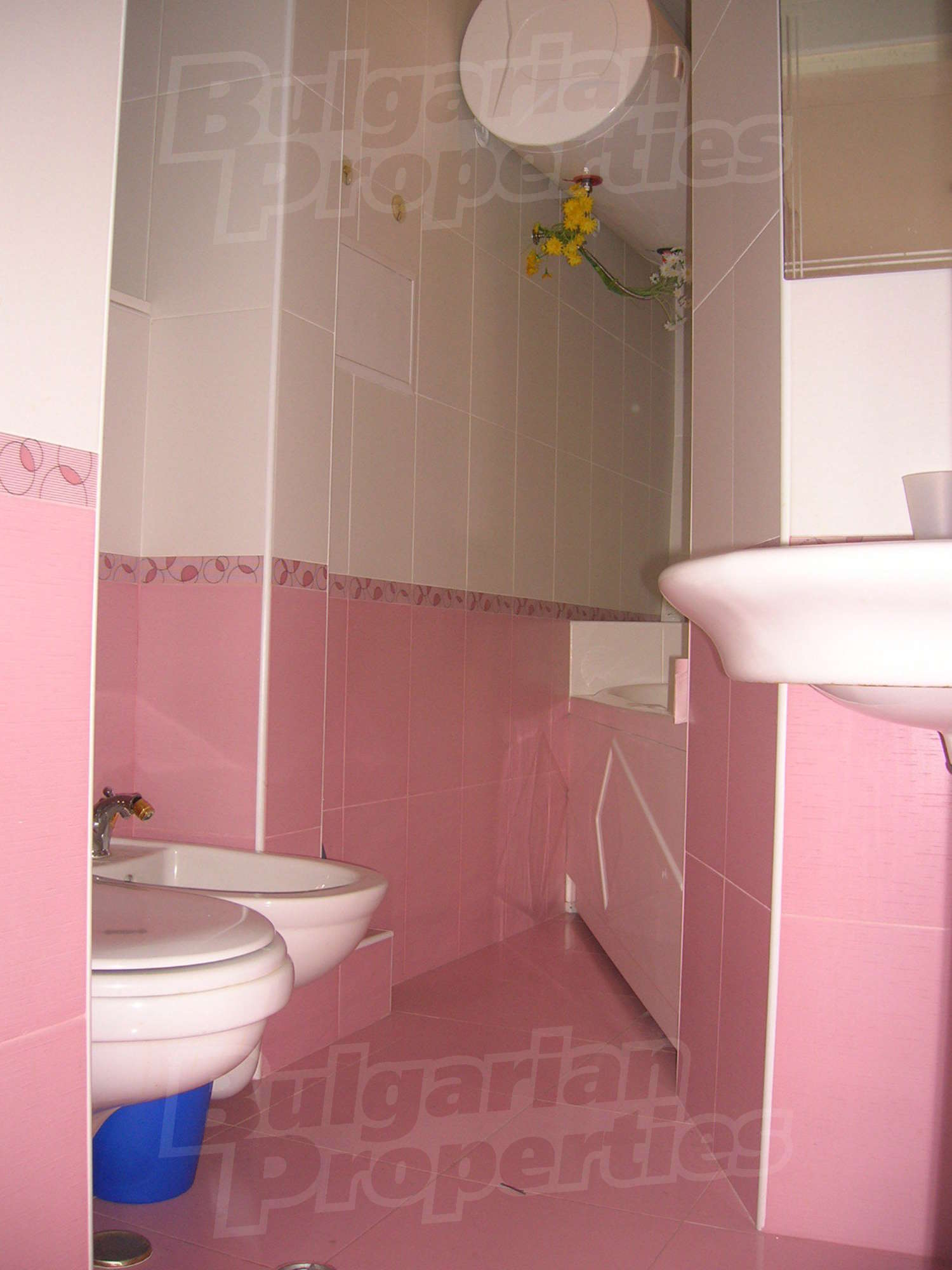 Gallery Picture 8