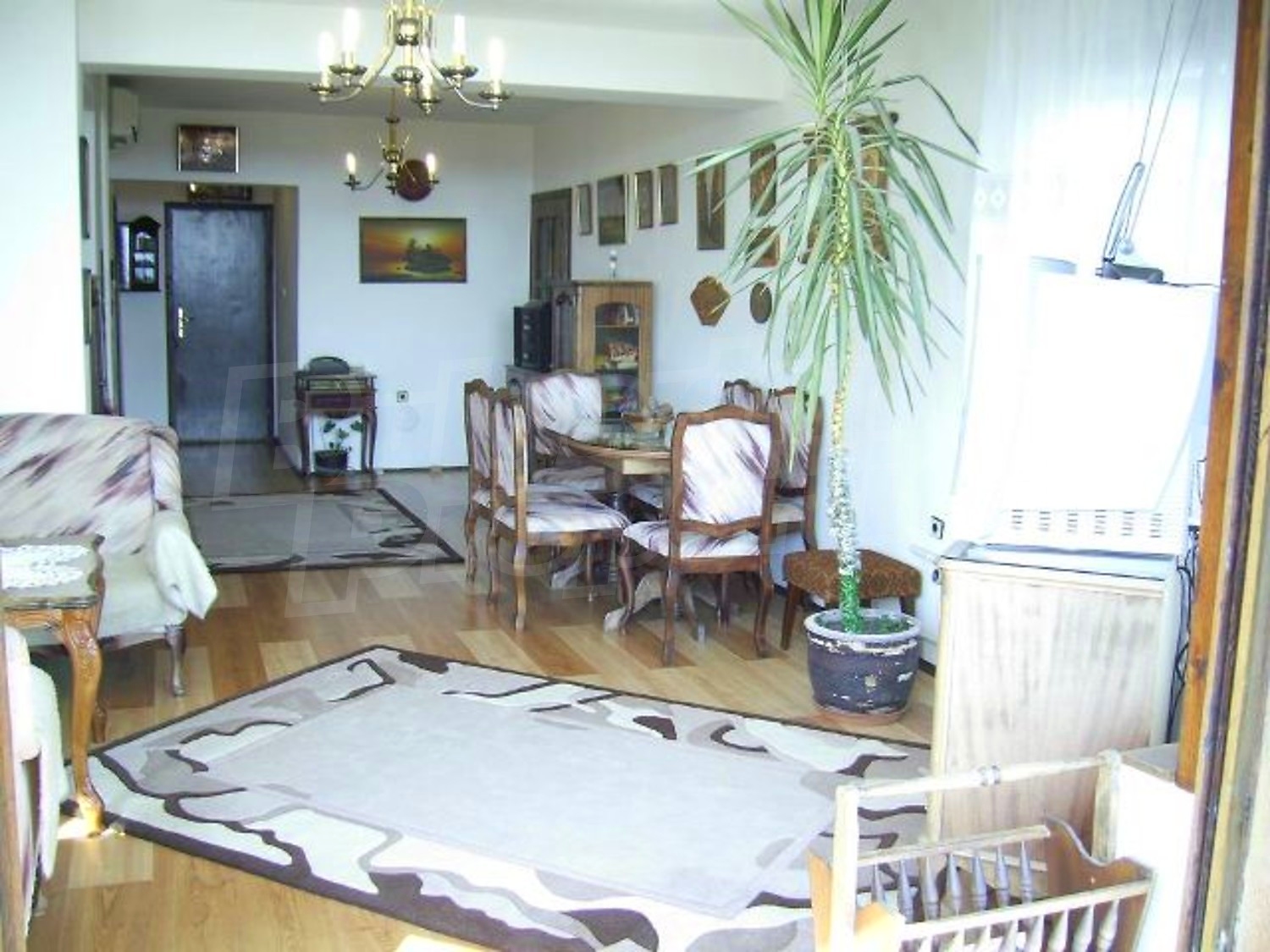 Gallery Picture 12