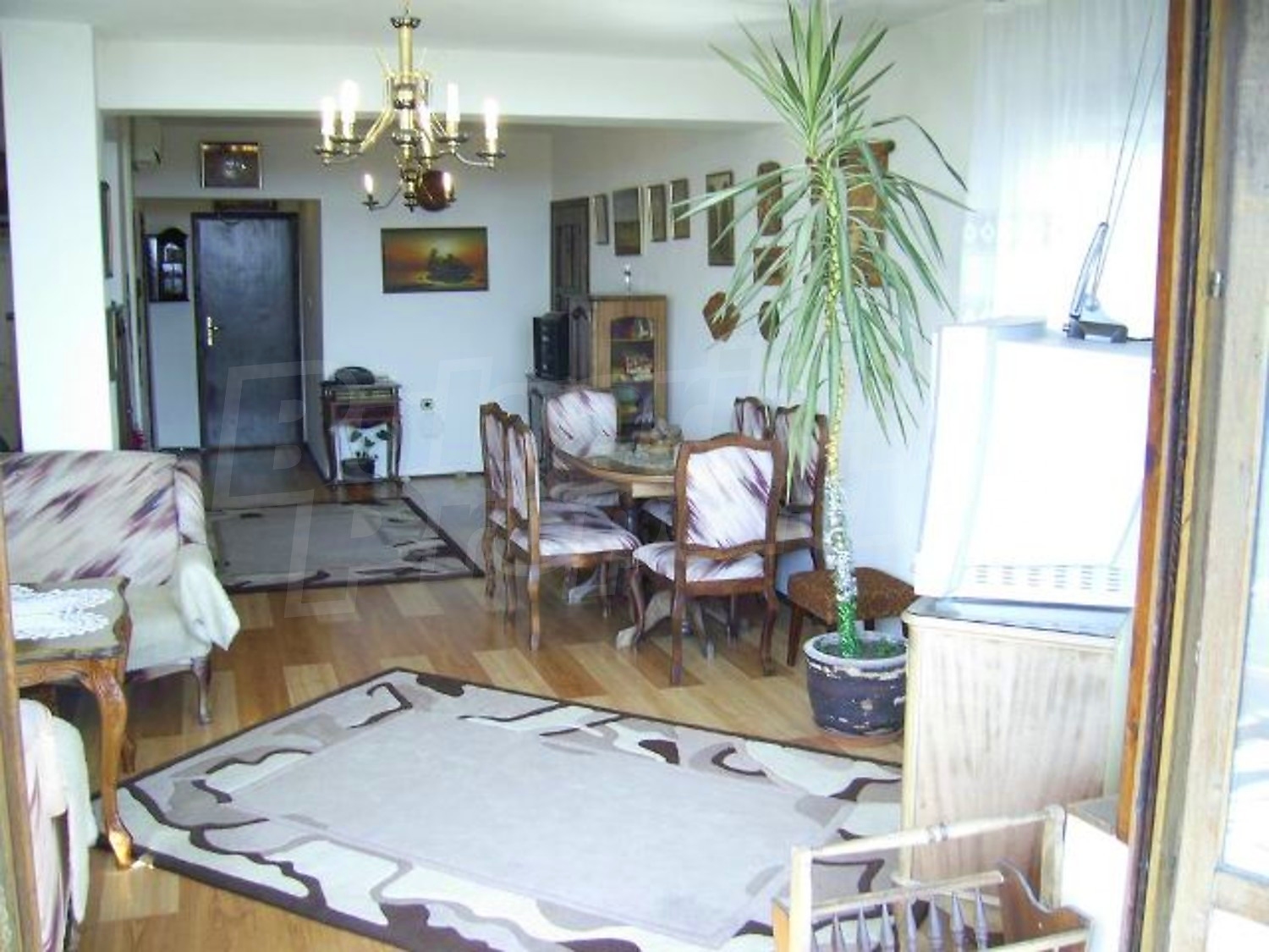 Gallery Picture 13