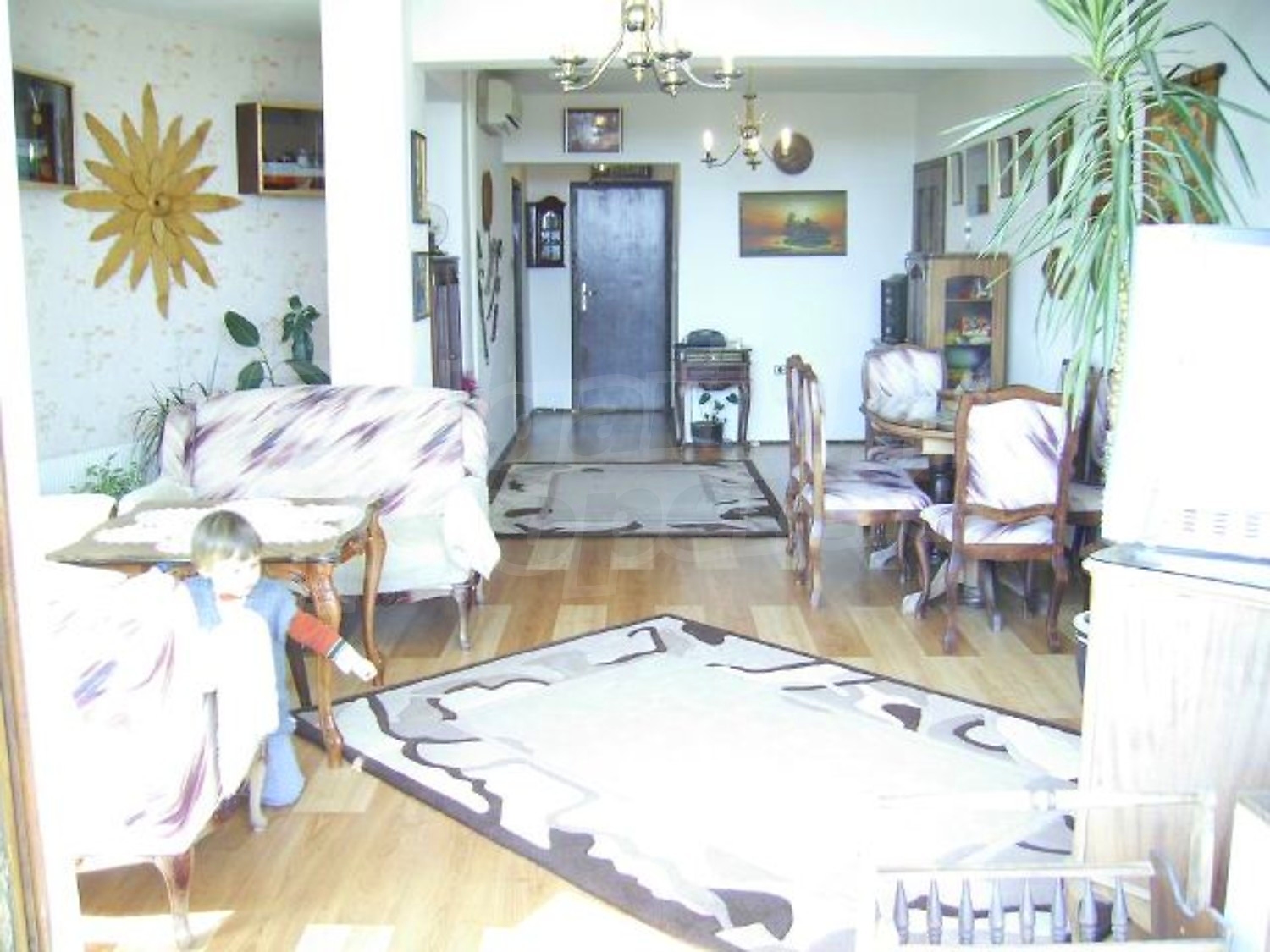 Gallery Picture 14