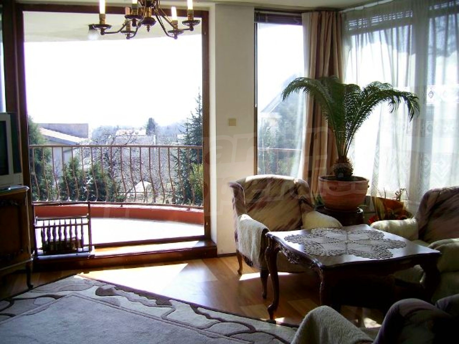 Gallery Picture 15