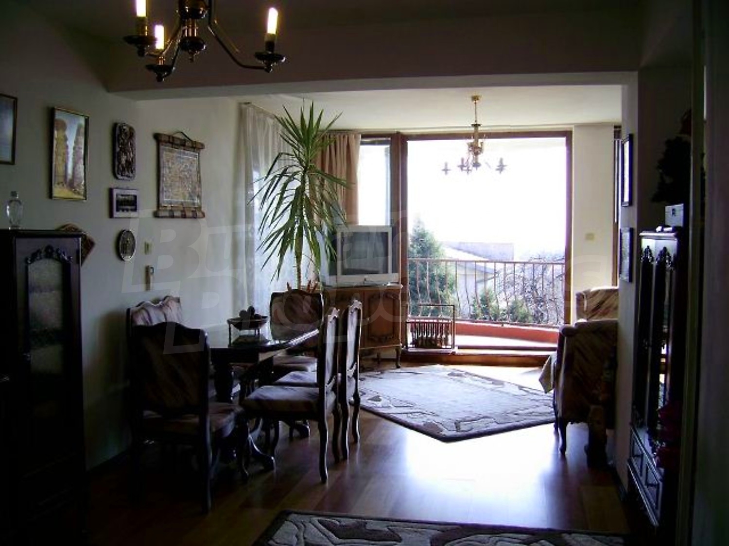 Gallery Picture 16