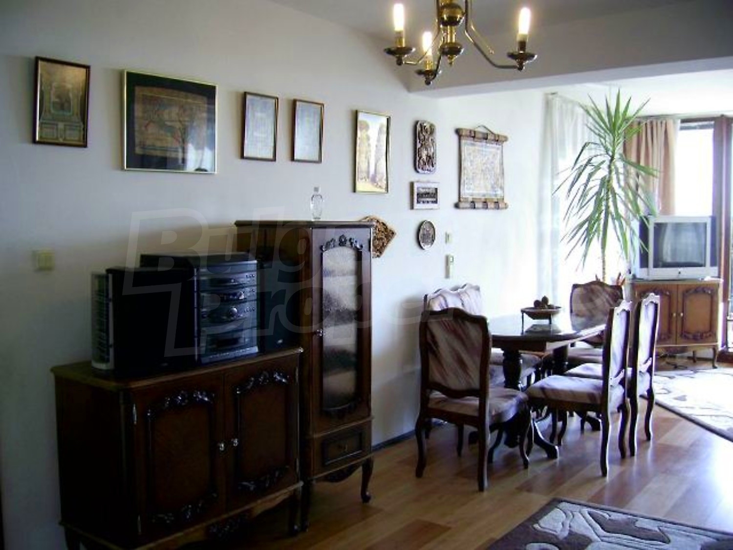 Gallery Picture 17