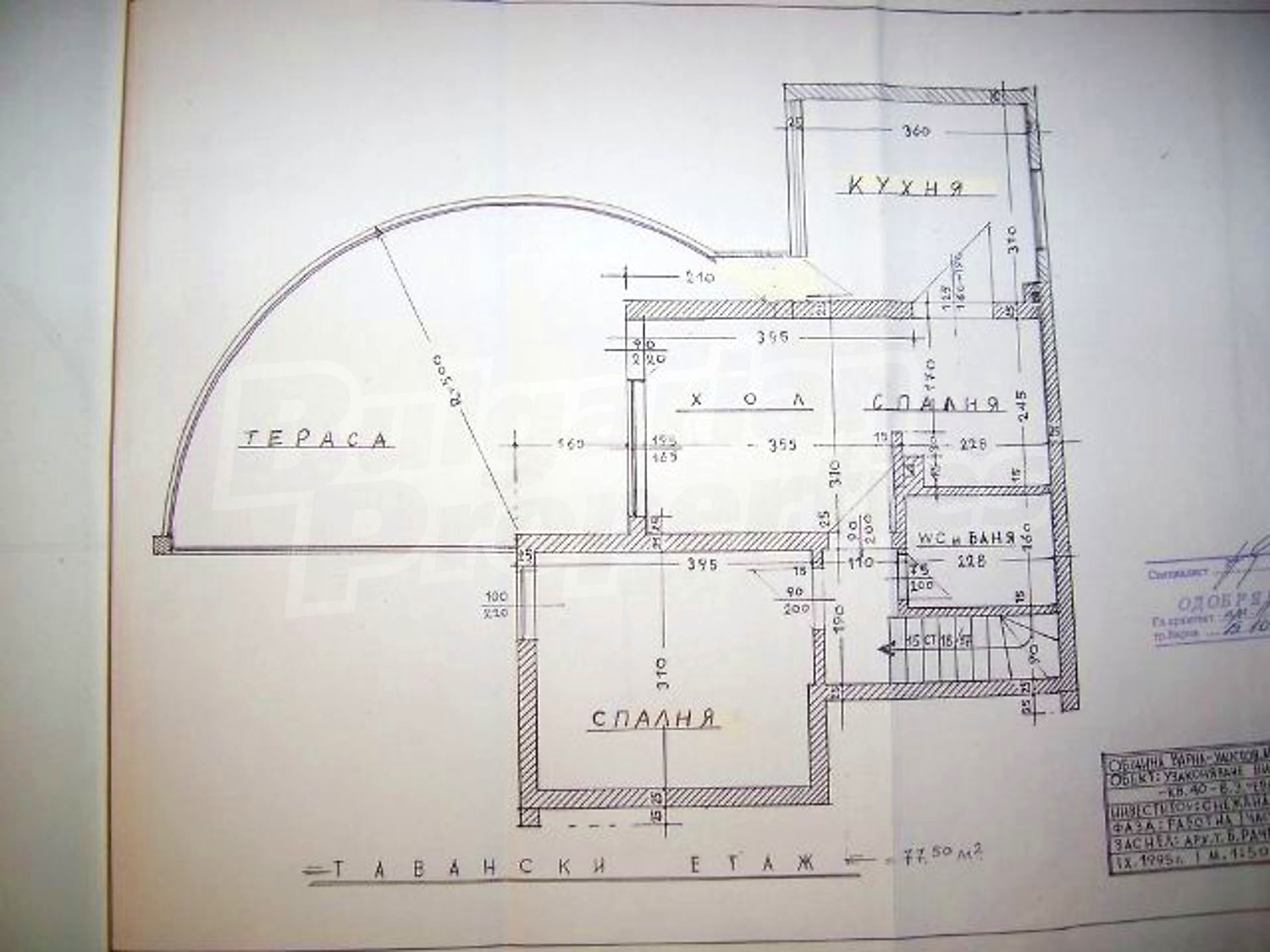 Gallery Picture 31