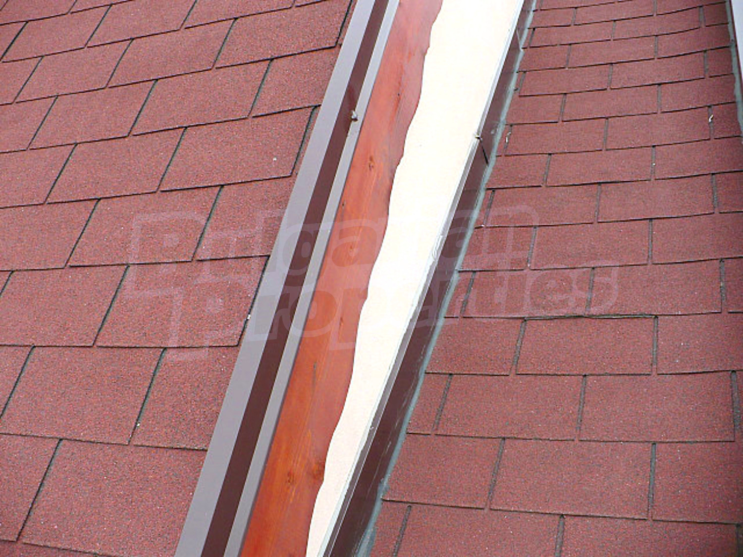 Gallery Picture 14