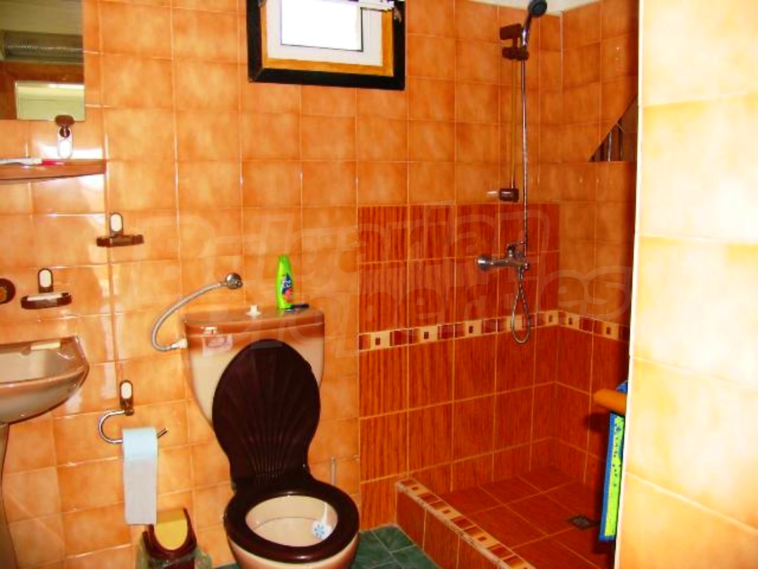 Gallery Picture 28