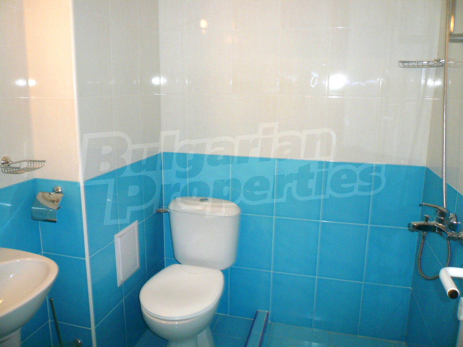Gallery Picture 10
