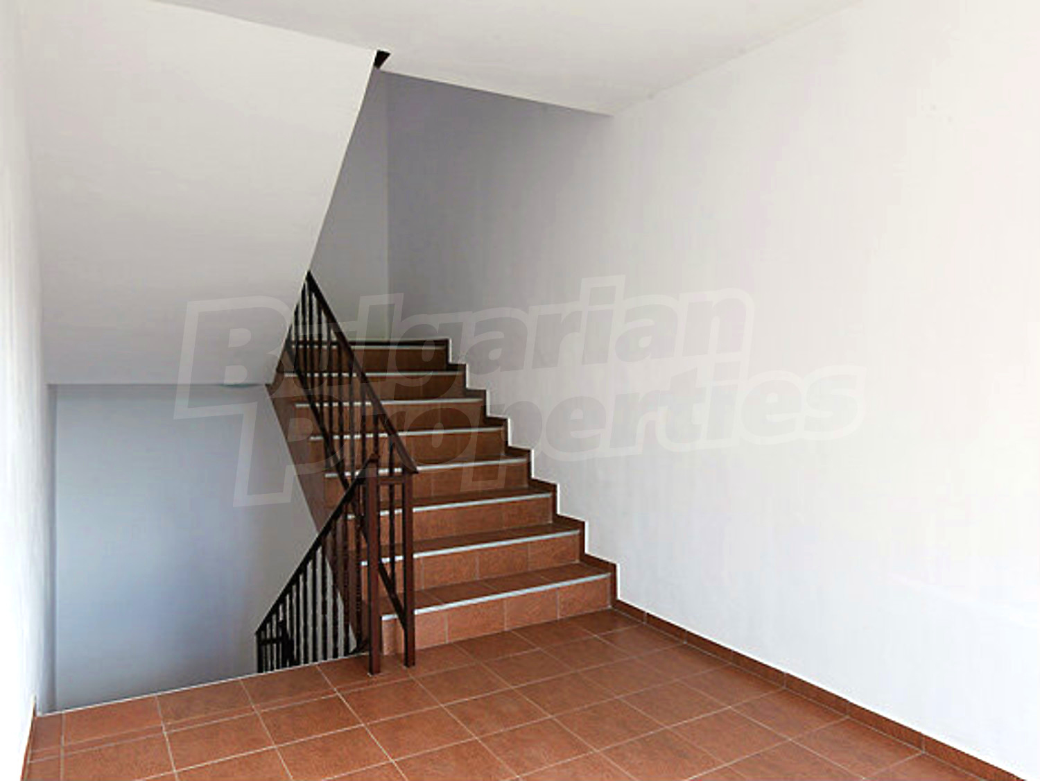 Gallery Picture 19